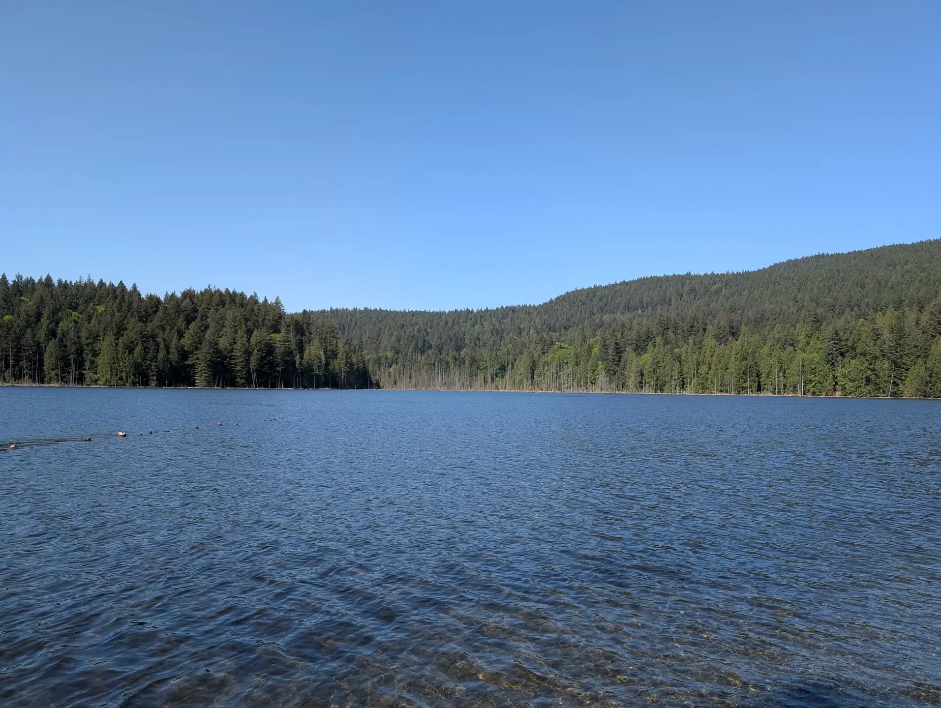 Killarney Lake View