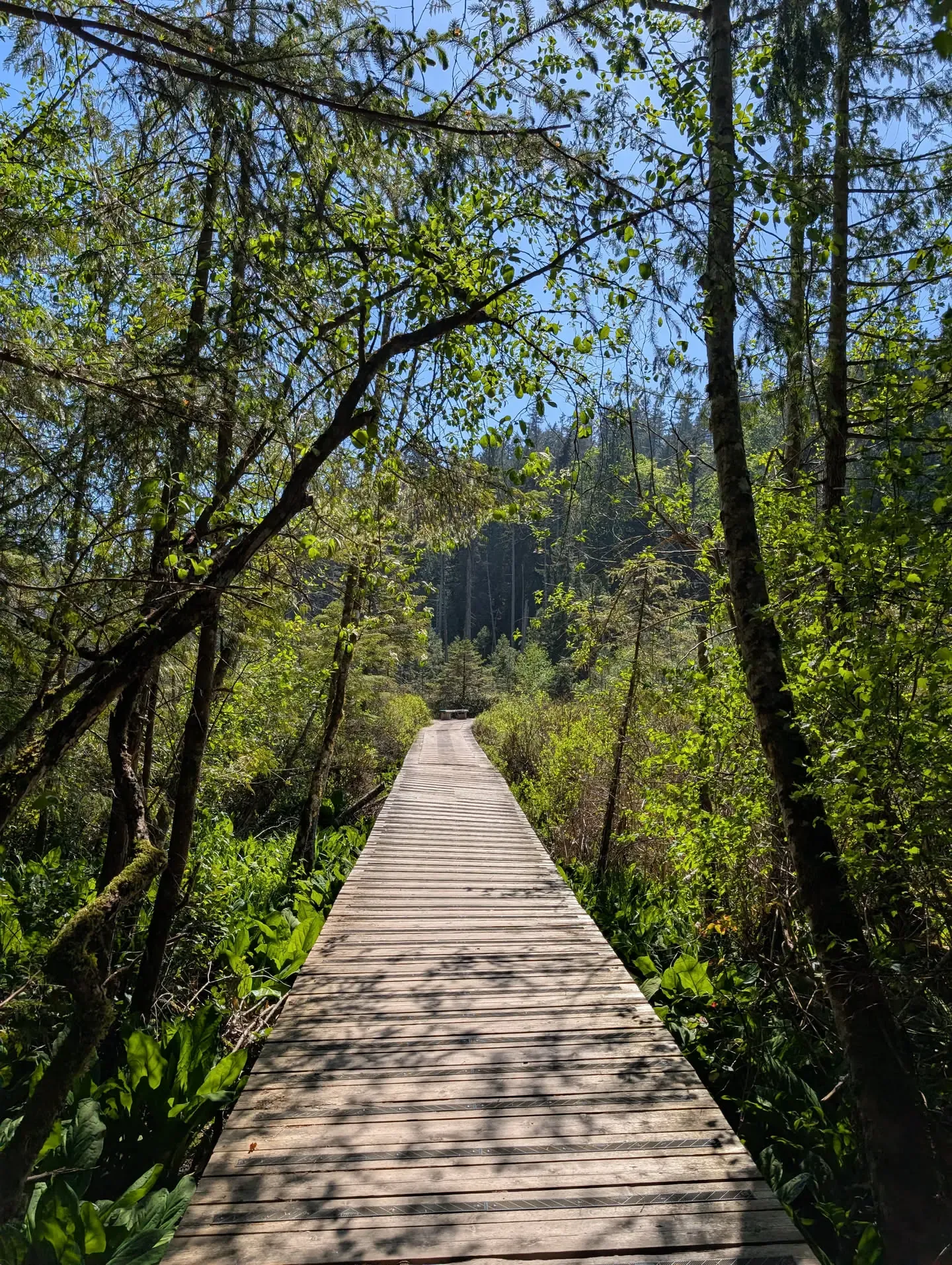 Killarney Lake View