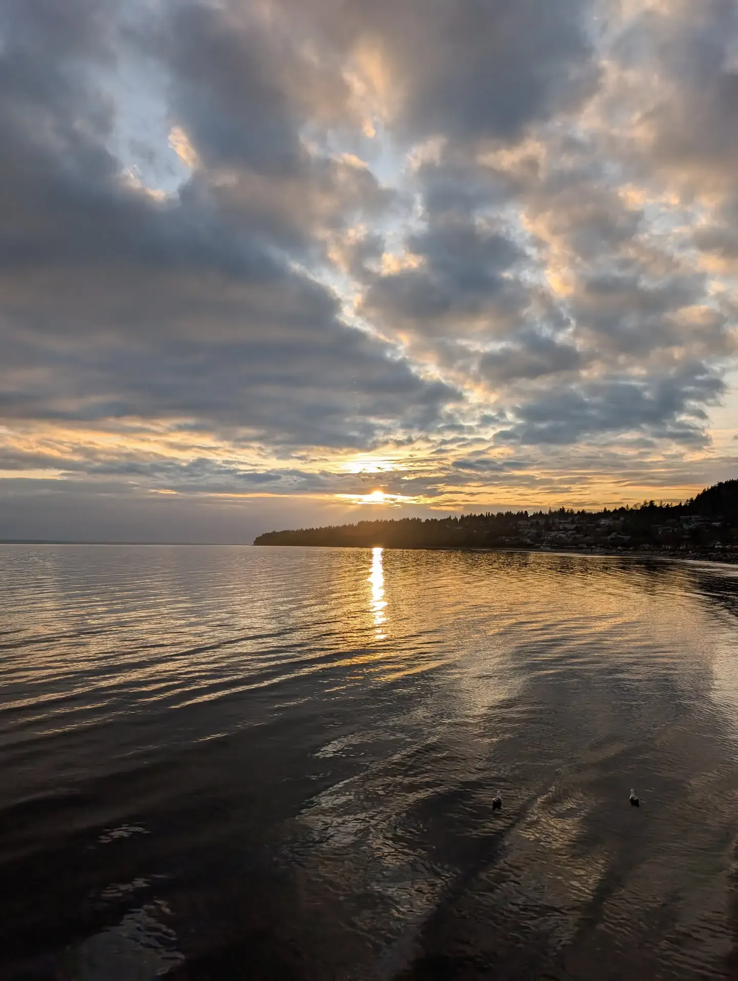 White Rock sunset view